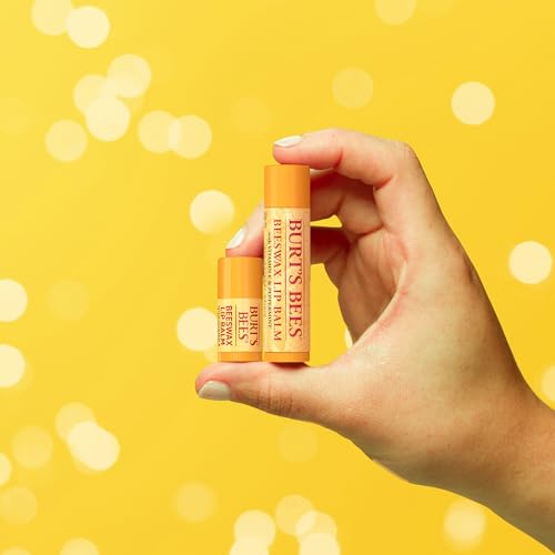Burt¡¯s Bees Holiday Minis Lip Balm Gift Set, Natural Origin Lip Care, 2 Tubes, 0.049 oz.