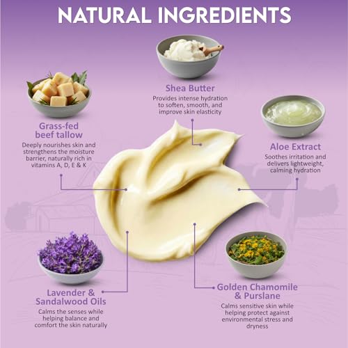 Beef Tallow for Skin, Whipped Beef Tallow Balm for Face & Body with Shea Butter and Lavender Oil, Grass Fed Beef Tallow for Eczema, Dry Sensitive Skin and Rosacea 4 Oz (Vanilla Lavender)