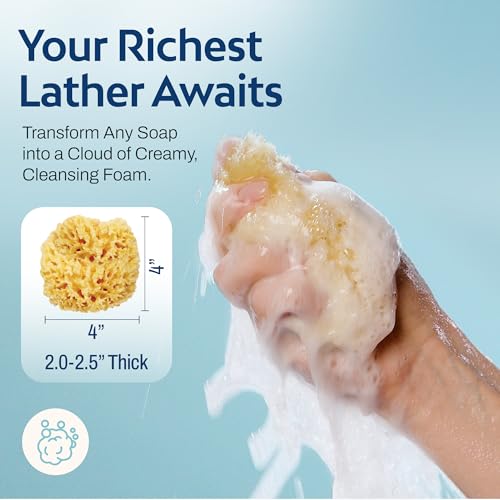 HartFelt Wool Sea Sponge Beauty Box for Delicate Skin | 2 Bath Sponges for Shower Women & Men 4 in | Natural Sponge with Mesh Bag for Cleaning & Drying | Chemical-Free Body Sponge Set - Gift Box
