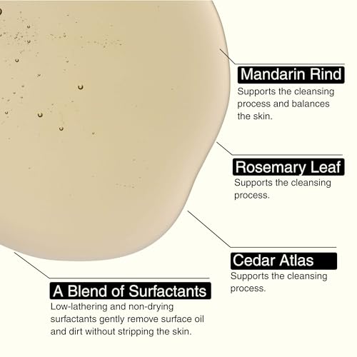 Aesop Resurrection Nourishing Hand Wash | Gentle Cleanser with Mandarin & Rosemary to Replenish & Hydrate Skin | 500mL / 16.9oz