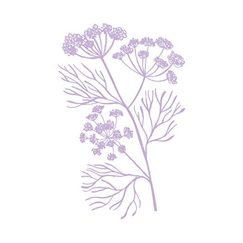 Senna Cosmetics, Soothing Toner with Fennel + Royal Jelly, 5 fl oz