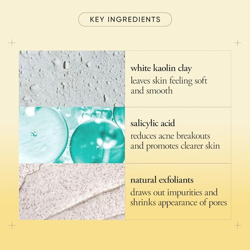 philosophy purity made simple pore extractor clay face mask - with purifying white kaolin clay, salicylic acid & natural exfoliants ? removes impurities and reduces the appearance of pores