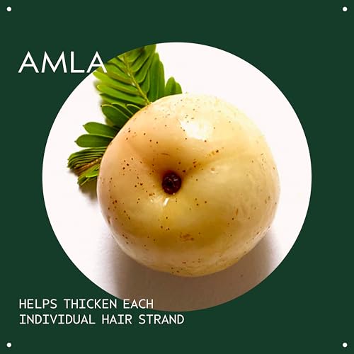 Aveda Men Pure-Formance Thickening Paste