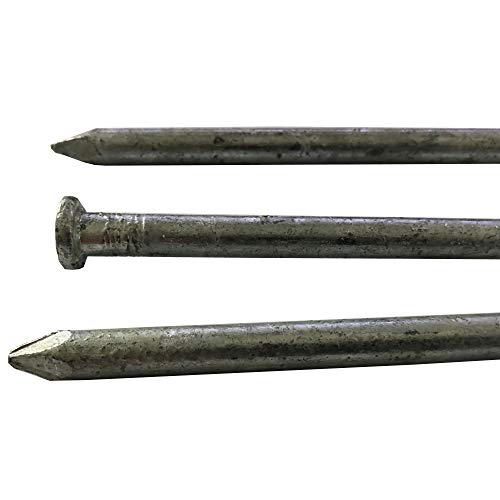 120d - Galvanized Spike nail - Outdoor rust resistant nail, great for landscaping ties (10)