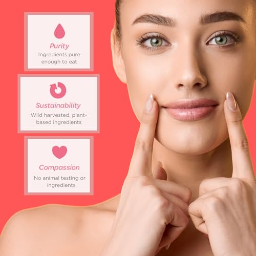 Ellovi Natural Lip Butter Lip Balm - Original - Pure Enough to Eat - Made With Just 6 Vegan Ingredients - Moisturizing Lip Care for All Day Hydration (2-Pack)