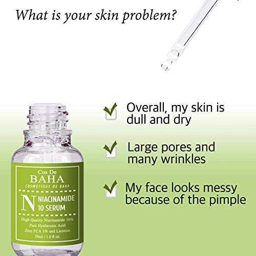 Cos De BAHA Niacinamide 10% Serum 1 Fl Oz ? Zinc PCA, Hyaluronic Acid & Aloe for Balancing, Pore-Refining & Uneven Tone (30 ml)