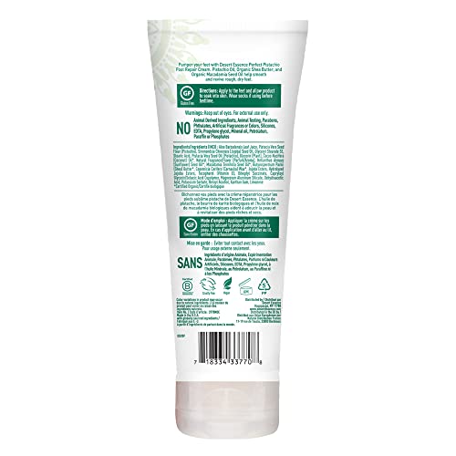 Desert Essence Pistachio Foot Repair Cream - 3.5 Fl Ounce - Pack of 3 - Restores Softness - Skin Repair & Renewal - Pistachio Nut Oil - Shea Butter - Macadamia Seed Oil - Cruelty-Free