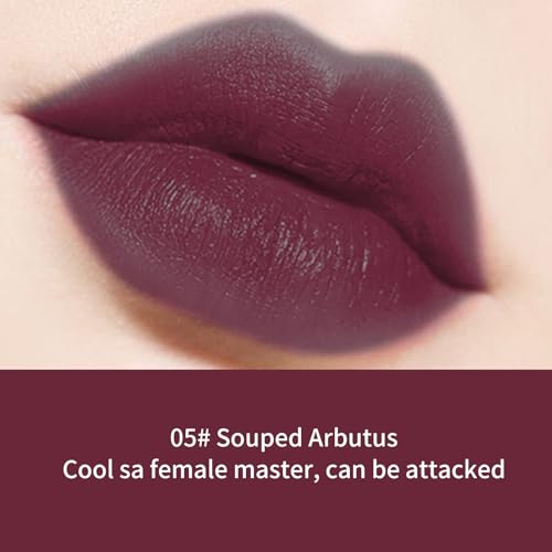 HXLOVE 5PCS Shimmering Lipstick Set - Long-Lasting, Moisturizing Lip Colors for Radiant Shine