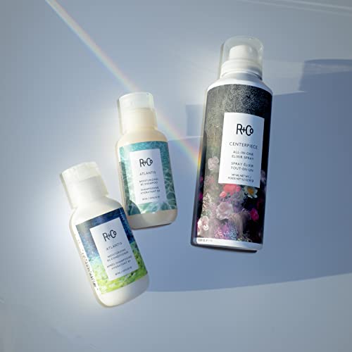R+Co Atlantis Moisturizing B5 Shampoo | Shine + Tames Frizz + Intense Hydration | Vegan + Cruelty-Free |Vegan + Cruelty-Free