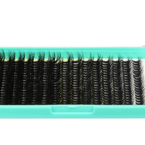 320 Cluster Lashes Hairly Volume Eyelashes 40D Wispy Individual False Eyelashes Mixed 10-18mm DIY Eye Lashes Extensions Natural Look (40D-Mixed 10-18mm)