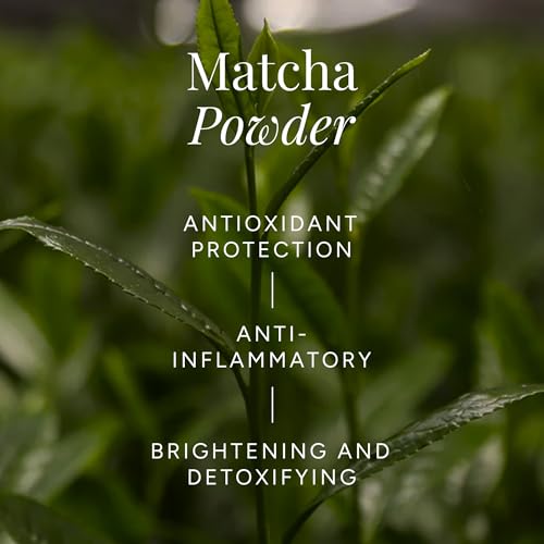 Puret? Greenwash Dew Essence infused with ECOCERT Matcha & Fermented Sake | Anti-Oxidant Hydrating Treatment Toner for Post-Cleansed Skin | Made in Japan | 6.7 oz.