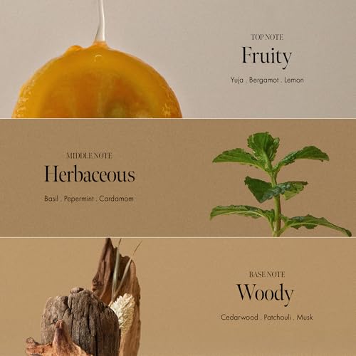 Slo | Natural Lip Balm - All Natural Ingredients, Vegan & Cruelty Free, Hydrating & Soothing, Plastic Free, Paper Packaging | 5 pack one of each flavour (5 x 0.28oz/8g)
