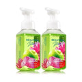 Bath&body Works Gentle Foaming Hand Soap 8.75oz. Beautiful Day Pack of 2