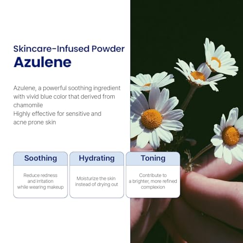 Le Nubele Azulene Face Cover Fixing Powder Translucent Loose Setting Powder, Blurring Powder, Poreless Face Primer, Blurring Primer, Mini Makeup 3g / 0.10 oz