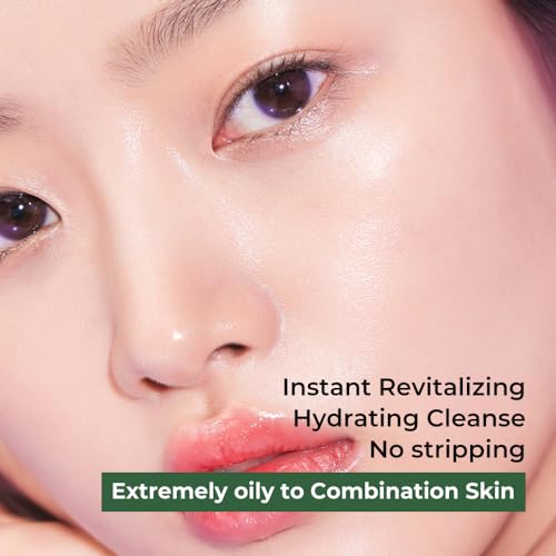 Fraijour Artemisia Bubble Facial Foam ? Korean Instant Foaming Face Cleanser for Dry & Sensitive Skin, Hydrating & Gentle Daily Wash, pH Balanced with Plant Extracts, Touchless Dispensing, 7.05 oz.