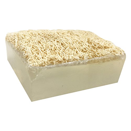 FACETS OF THE SEA Handmade Glycerin LoofahBar Soap