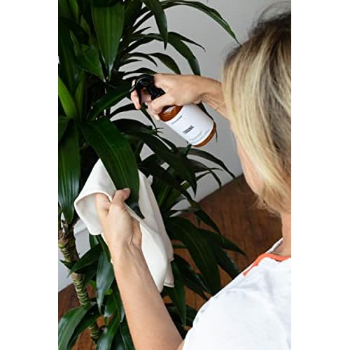 L?on &?George Black Soap Leaf Cleaner Spray for Houseplants