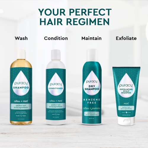Puracy Scalp Scrub, 99.96% Natural Scalp Exfoliator, Hair Scrub, Scalp Exfoliator Scrub, Scalp Treatment, Scalp Cleanser, Dry Scalp Treatment, Scalp Care, Scalp Shampoo, Itchy Scalp Shampoo - Mint