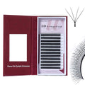 DeceMars 8D W Eyelash Extensions Easy Fans Russian Volume YY Lash Extension Fluffy Matte Black Clusters Lashes for Professional Salon Use (WW-8D-0.07-D,8-15mm Mix)