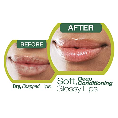 Ruby Kisses Hydrating Lip Oil Cannabis Sativa Hemp Seed RLO04D1 (6 Pack)