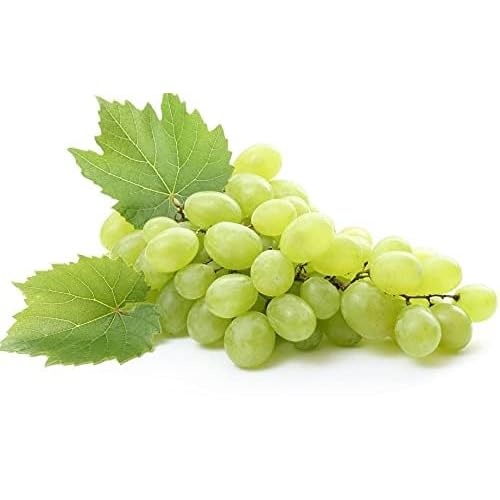 Grapeseed Oil - Pure, Unrefined, Partially Filtered, Unscented, Non-GMO, Cold Pressed from Wine Grapes, Bulk Carrier Oil - 16 oz - for Hair, Skin, Body, Face - Nourish, Hydrate, & Moisturize