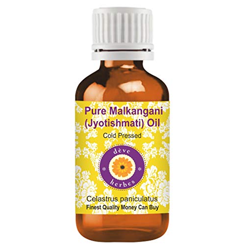 Deve Herbes Jyotishmati Oil (Celastrus paniculatus) | Cold Pressed | Pure | Natural | Undiluted | For Diluting Essential oils | For Skin & Massage | Non-Sticky| Lightweight| Unisex | 100ml (3.38 oz)