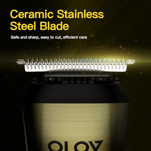 Electric Razor for Men, 3D Floating Blade Shaver with 9000 RPM High Speed, IPX7 Waterproof, 60-Day Battery Life, Compact Portable Wet/Dry Electric Shaver