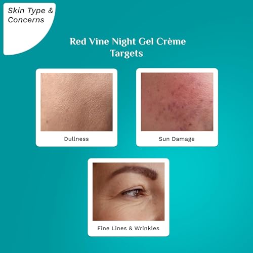 Pilgrim French Red Vine & Retinol Night Gel Cream, Night Moisturizer for Face, Helps Improve Texture & Radiance, Lightweight Overnight Skincare, Youthful Glow, 1.76 Oz (50g)