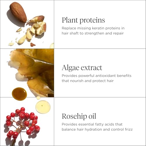 Briogeo Don't Despair, Repair! Deep Conditioning Mask, Deep Conditioner for Dry Damaged or Color Treated Hair, Prevent Future Breakage, Protein Mask for Stronger Hair, Vegan, Cruelty-Free