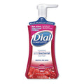 Professional Antimicrobial Foaming Hand Soap (Set of 8)