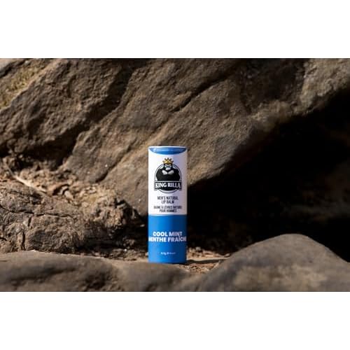 King Rilla Organic Lip Balm for Men ? USDA Certified, Natural, Hydrating & Soothing ? Vegan, Cruelty-Free, Eco-Friendly Lip Care with Organic Ingredients (All Mix Lips Balm 04 Pack)