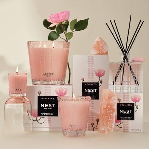 NEST New York Liquid Soap, Himalayan Salt & Rosewater - 10 fl oz - Cleanses & Nourishes Skin - Approx. 300 Pumps Per Bottle - Gluten Free & Cruelty Free (Pack of 2)