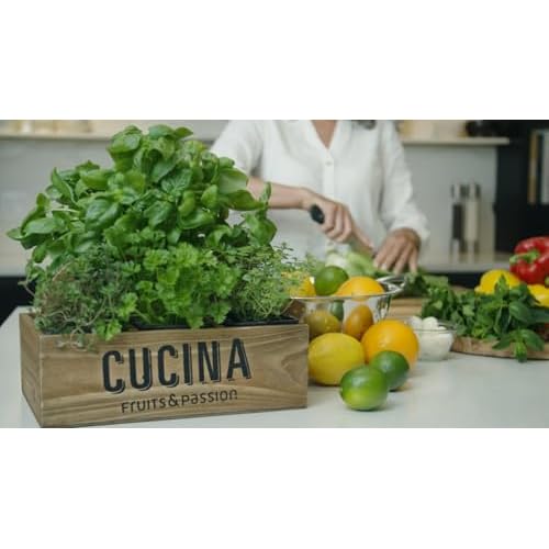 Cucina Fruits & Passion Hand Soap Refill, Lime Zest & Cypress, 1 L (33.8 fl oz) ? Liquid Hand Soap with Olive Oil, Biodegradable, Vegan Formula, Kitchen & Bathroom