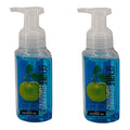 Beautiful Day Gentle Foaming Hand Soap (2 Pack, 8.75 oz each)