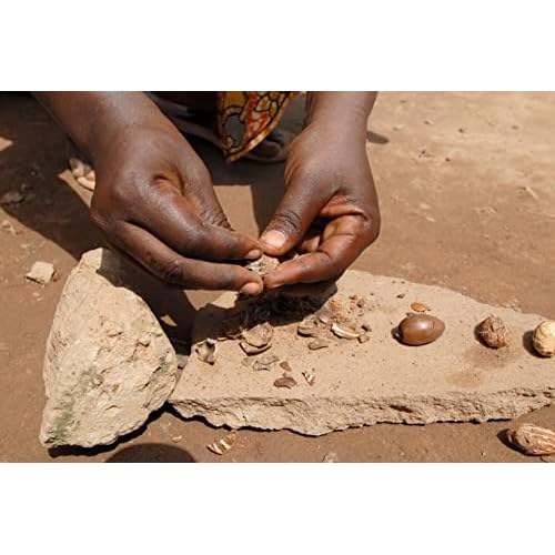 African Shea Butter Ivory Raw - 100% Pure - Unrefined Soft Creamy. For Dry and Cracked Skin. DIY Body Butter, Hair, and Face Treatment. (8 oz.)