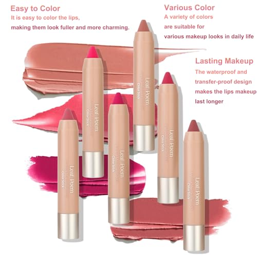 6 Pcs Sheer Matte Lip Liner Lipsticks Set with Retractable and Long-Lasting Lip Crayon Lipstick for Gift Women Makeup