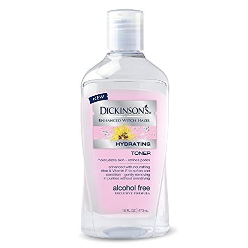 Dickinson's Enhanced Witch Hazel Alcohol Free Hydrating Toner, 16 Fluid Ounce (Pack of 6)