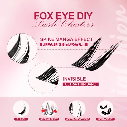 Fox Eye Lash ClustersKit, Easy for Beginners Individual Lashes, Cat Eye Lashes, 8-18mm C Curl 112pcs, Home DIY Lash Extensions, Waterproof Bond and Seal, Remover and Lash Tweezers