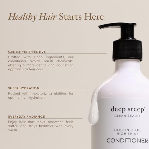 Deep Steep Argan Oil Hydrating Volume Conditioner, 17 oz ? Moisturizing Conditioner with Aloe Vera, Marula Oil, Rice Protein & Glycerin ? Silicone-Free, Vegan, Clean Beauty Hair Care, Silky Hair