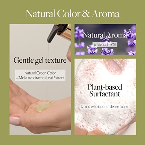 O NATURALS Moisturizing Black Bar Soap and Cleansing Green Tea Soap Collection Two 6 packs 4 ounce Each Bar