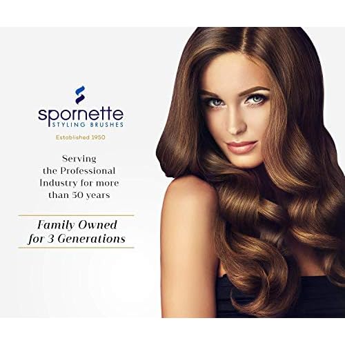 Spornette Hair Brush Cleaner Rake Tool