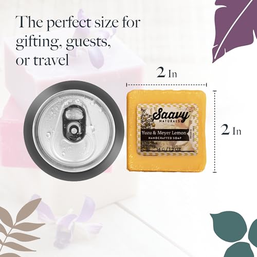 Saavy Naturals Hydrating & Purifying Mini Soap ? Plant-Based, Nourishing & Moisturizing Bar Soap Gift Set for Men & Women ? Mini Square Shaped Artisan Bar Soaps, 10 pack