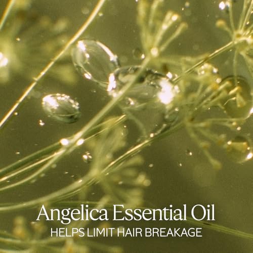 L'OCCITANE Aromachologie Intensive Repair Enriched Infused Oil 3.30 fl.oz