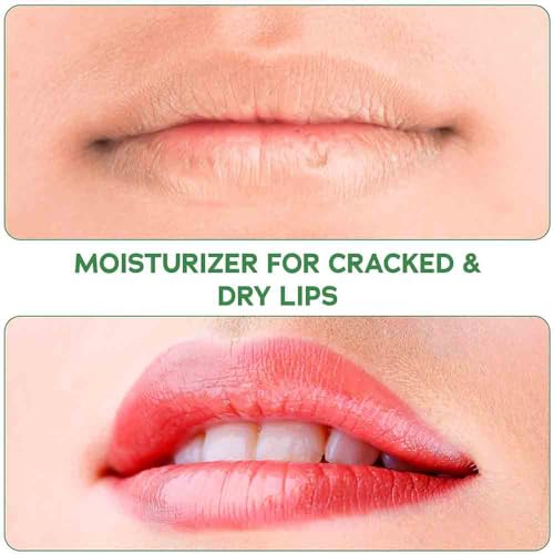 OrganiLip Tinted Lip Balm Moisturizer - Natural Moisturizer for Cracked & Dry Lips - All-Day Ultra Moisturizing Lip Care for Kids and Adults - Shimmer, Pink Champagne, Crimson, Plum Colors - 4 Pack