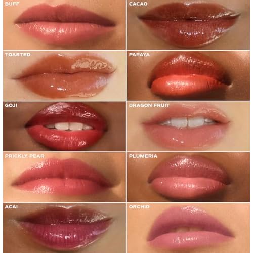 Saltair Hydrating Lip Oil Balm, Clear and Tinted Lip Gloss, Everyday Shades 5-Pack. Moisturizing Vegan Conditioning for Dry Cracked Lips with Glossy High-Shine Finish. Coconut Vanilla Flavor