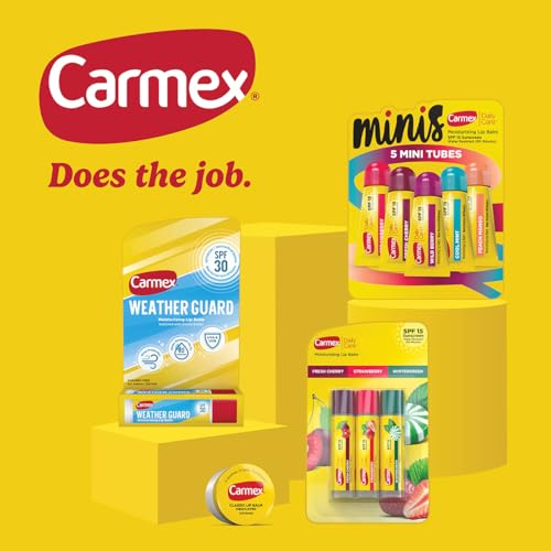 Carmex Daily Care and Daily Care Minis Moisturizing Lip Balm Pack, SPF 15, Multi-Flavor Lip Care Variety Pack Bag, 8 Count (3 Tubes, 5 Mini Tubes)