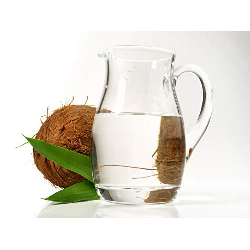 OPO MCT Oil - Pure Fractionated Coconut from Coconut Fruit Non GMO Medium Chain Triglyceride Vegan Bulk C8 & C10 Carrier Oil - 16 oz 1 Pint - Skin Hair Cuticles Facial Hair