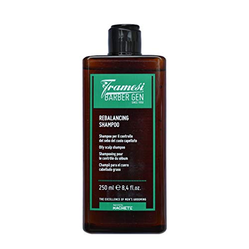 FRAMESI BARBER GEN Rebalancing Scalp Shampoo, 8.4 fl oz, Shampoo for Oily Hair
