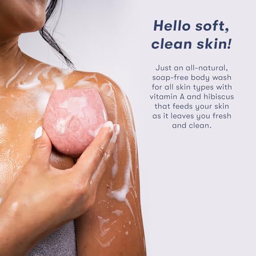 HIBAR - Nourish Solid Body Wash Bar - Replenish & Enrich - With Pomegranate Sterol & Jojoba Protein - Daily Use & Sensitive Skin - Plastic, Paraben & Soap-Free - Vegan - Black Currant + Rose - 2 PACK