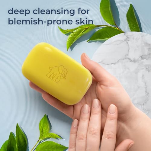 Natural Elephant Dead Sea Sulfur Soap 4.4 oz with Dead Sea Salt, Aloe Vera, Sulphur Face and Body Cleanser Bar for All Skin Types (10 Pack (44 oz Total))